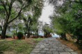 /album/fotogaleria-sant-feliu-de-guixols/ee43-640x480-jpg/
